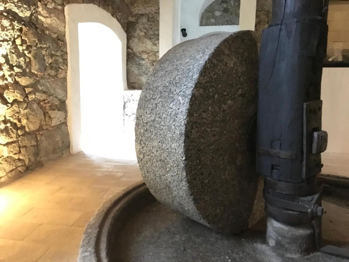 Chambres D'Hotes - Mulino Nannare Ville-di-Paraso Zewnętrze zdjęcie